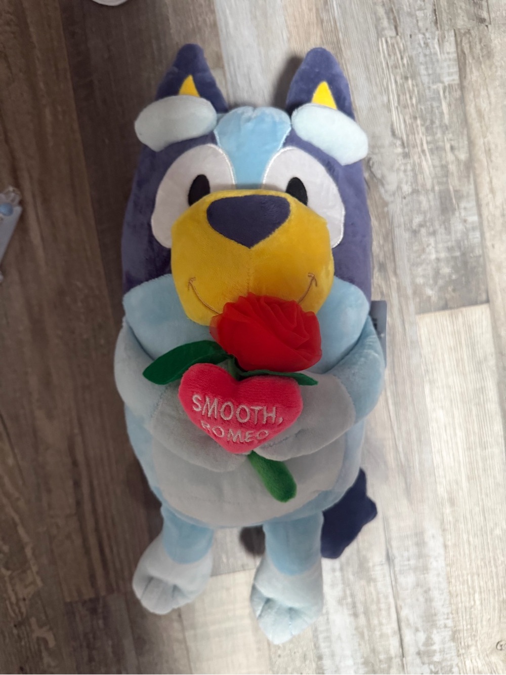 Blue Plush Wolf Holding Rose - "Smooth, Romeo" Heart